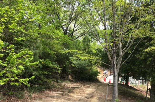 広島県立中央森林公園